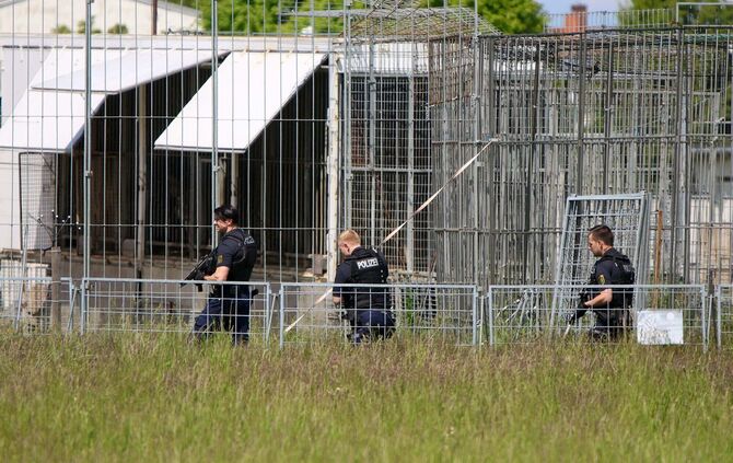 Polizei erschießt entlaufenen Tiger bei Leipzig