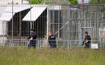 Polizei erschießt entlaufenen Tiger bei Leipzig