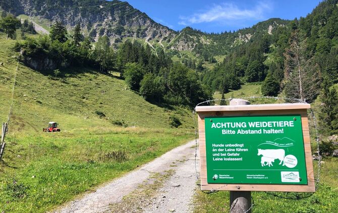 Hinweis zu Weidetieren auf Almen