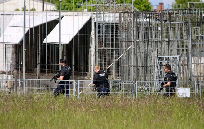 Polizei erschießt entlaufenen Tiger bei Leipzig