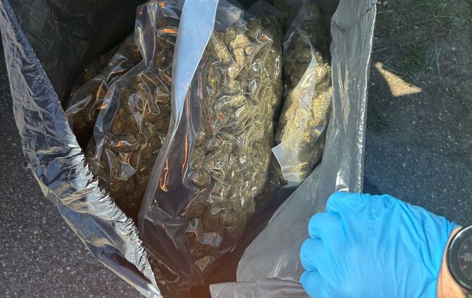 Zoll entdeckt große Mengen Marihuana in Auto