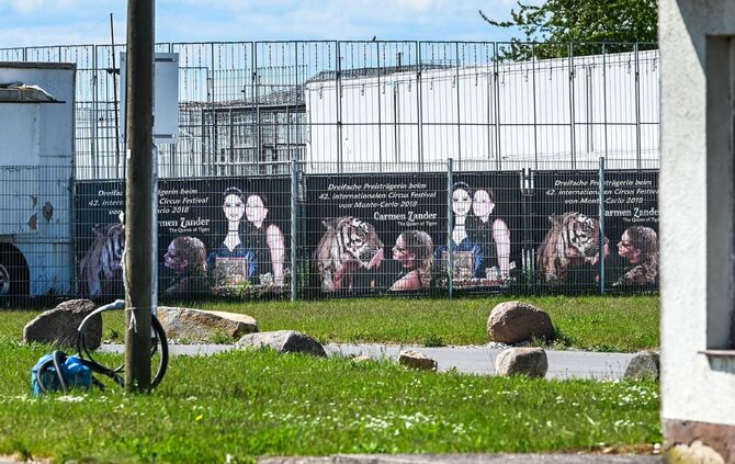 Ausgebrochener Tiger - Tag danach