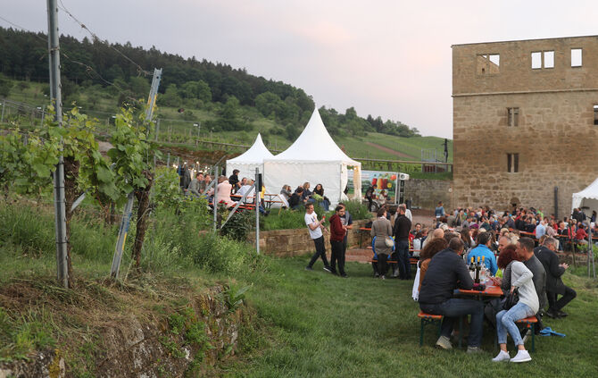 Am Weinweg rund um die Yburg in Stetten.