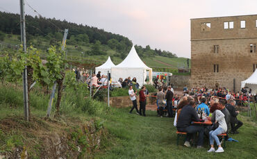 Am Weinweg rund um die Yburg in Stetten.