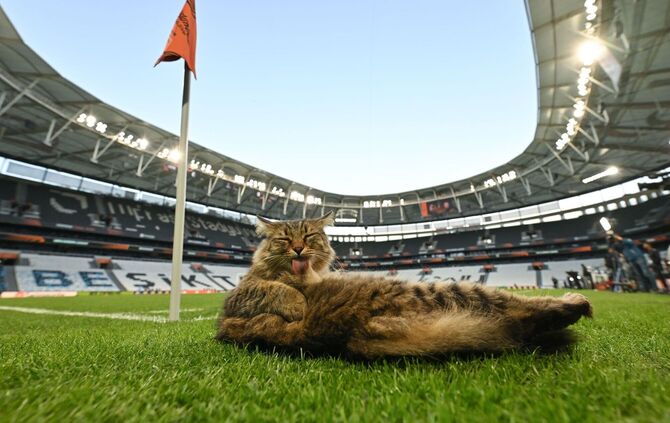 Vor dem Finale der Europa League