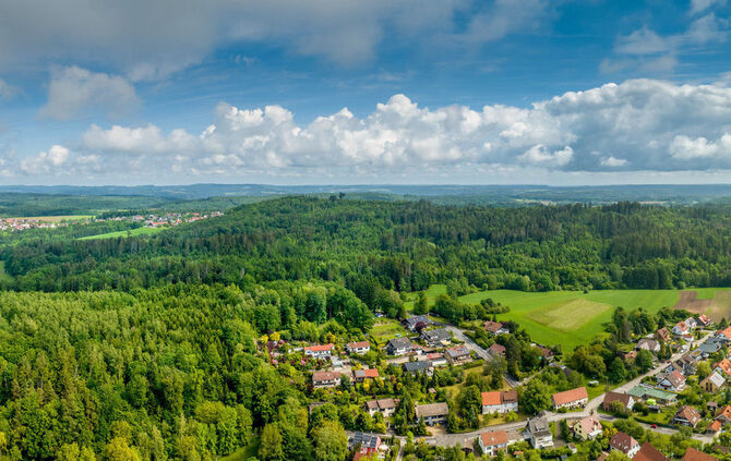 Naherholungsgebiet Ochsenhau: Hier sollen vier große Windenergieanlagen mitten im Wald errichtet werden.