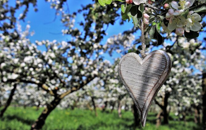 Mehr Liebe, mehr Zuwendung – finanzieller Art – fürs Wieslauftal mit Hilfe der neuen Stiftung "Wieslovetal".