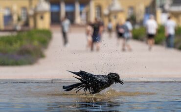 Sommerwetter in Baden-Württemberg