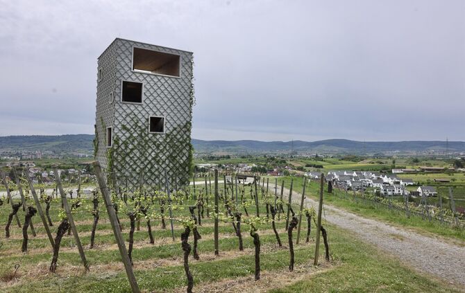 Der Ausichtplatz am Fern-Seh-Turm, der seit der Remstalgartenschau 2019 in den Kleinheppacher Weinbergen thront, soll ein paar M