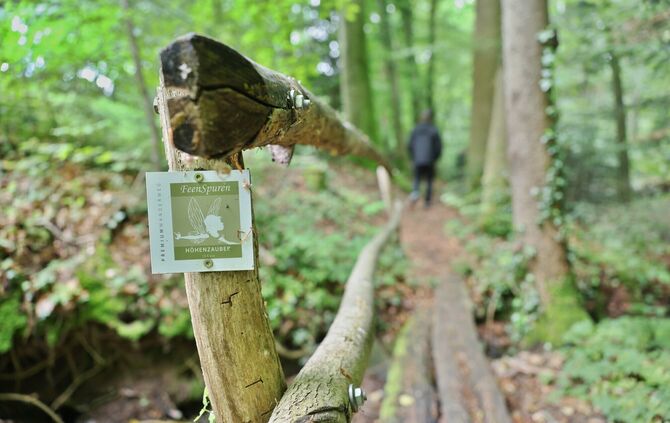 Abwechslungsreich durch Wald und Flur: Premium-Wanderweg in Rudersberg.