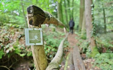 Abwechslungsreich durch Wald und Flur: Premium-Wanderweg in Rudersberg.