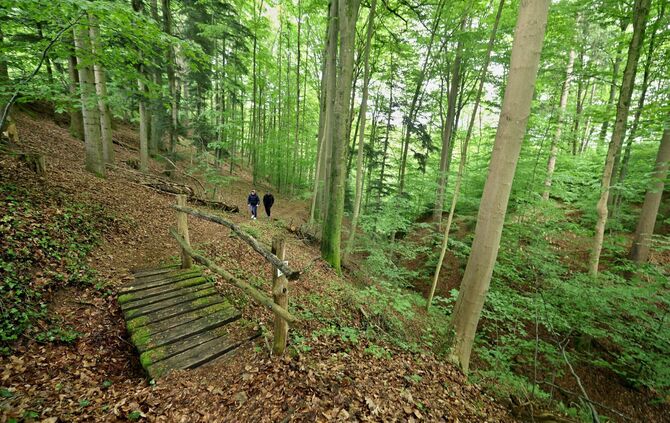 Der "Höhenzauber" ist einer der schönsten Premium-Wanderwege im Schwäbischen Wald.