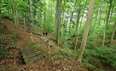 Der "Höhenzauber" ist einer der schönsten Premium-Wanderwege im Schwäbischen Wald.