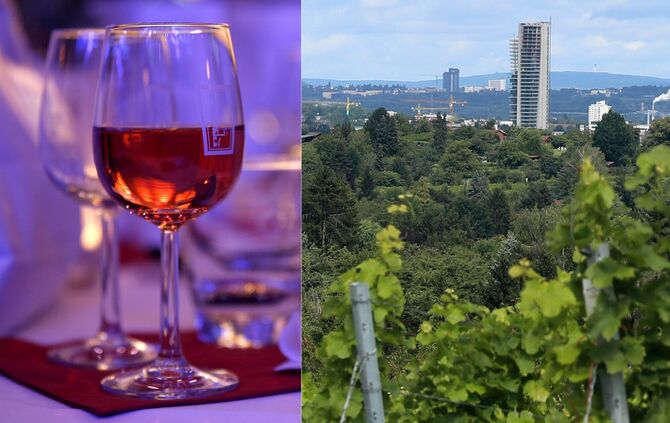 "Angespannte Lage auf dem Weinmarkt": Wie geht es Genossenschaftswinzern in Fellbach? (Symbolfoto)