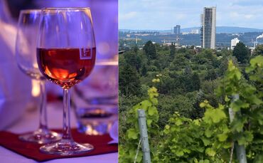 "Angespannte Lage auf dem Weinmarkt": Wie geht es Genossenschaftswinzern in Fellbach? (Symbolfoto)