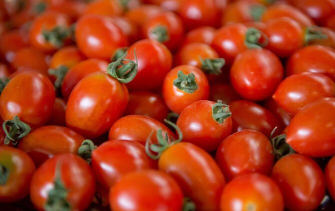 Tomaten