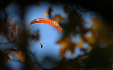 Gleitschirm hinter herbstlichen Bäumen