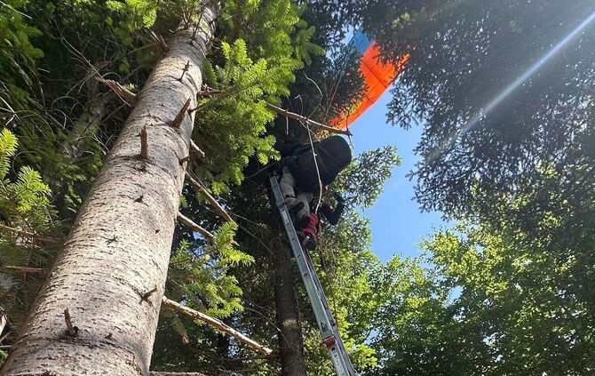 Feuerwehr rettet Gleitschirmflieger aus Baum