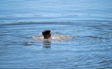 Badeseen