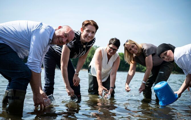 "Maifischbesatz" zur Wiederansiedlung des Maifischs im Rhein