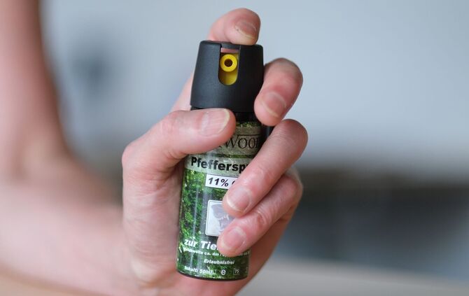 Die mutmaßlichen Täter sollen in Esslingen aus dem Zug gestiegen sein. (Symbolbild)