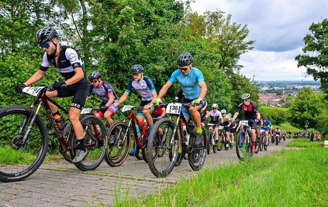 Der Stich beim Fast & Forest kurz nach dem Start an der Fellbacher Kelter hat es in sich.