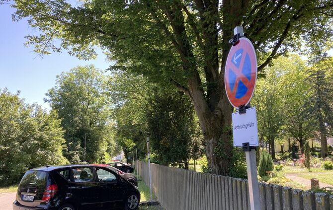 Wer im Schatten von Bäumen des Stadtfriedhofs parkt, riskiert in einem bestimmten Bereich Blechschaden. Die Stadt warnt mit Schi