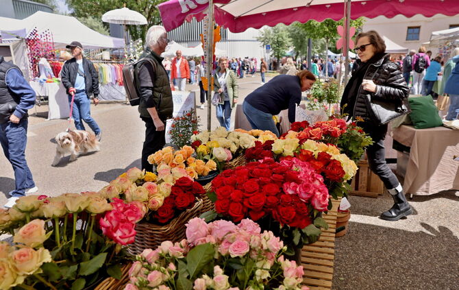 Rosenmarkt am Eva-Mayr-Stihl-Platz (Archivfoto)