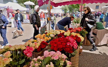 Rosenmarkt am Eva-Mayr-Stihl-Platz (Archivfoto)