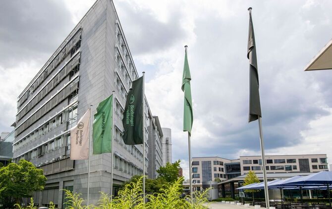 Boehringer Ingelheim
