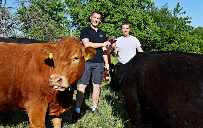 Wengertersohn Laurenz Sigle (links) und Landwirt Valentin Rommel halten auf den Wiesen zwischen Gundelsbach und Großheppach Angu