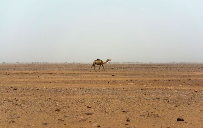 Sahara im Niger