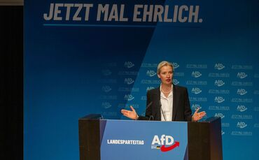 AfD-Landesparteitag Baden-Württemberg