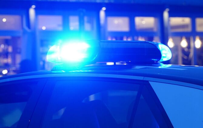 Auch die Polizeihundeführerstaffel der Polizei sucht nach dem kleinen Jungen. (Symbolbild)