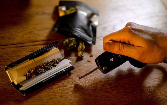Cannabis