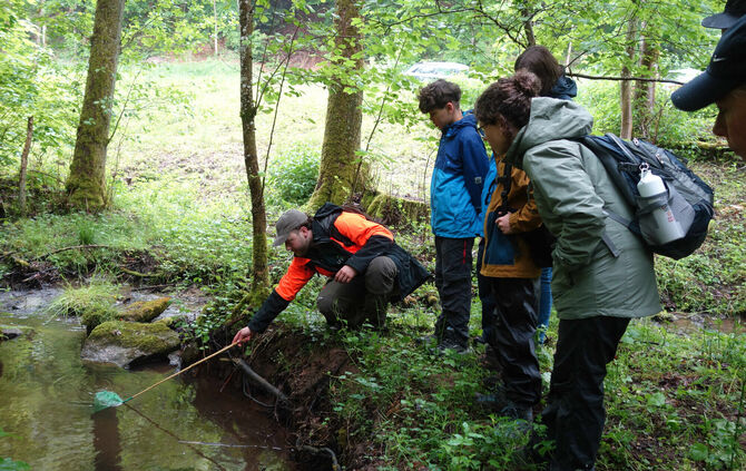 In den Naturpark-Bächen lässt sich nach so einigem fischen.