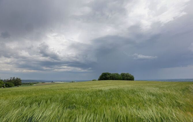 Die Prognose klingt wenig sommerlich: Für die nächsten Tage sind im Südwesten Regen und Wolken angesagt. (Archivbild)