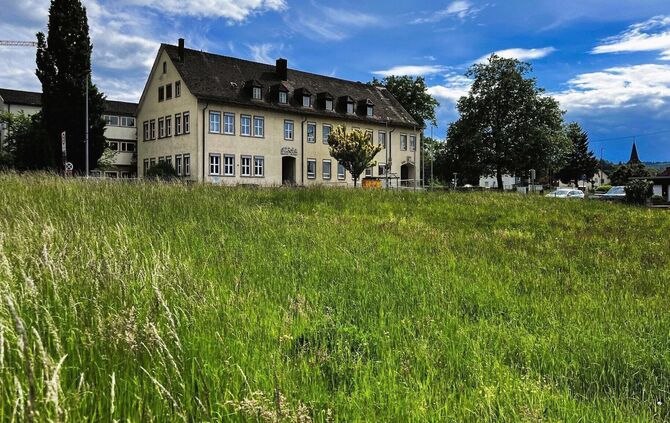 Noch ist nur eine grüne Wiese zu sehen: Direkt an der Schorndorfer Straße in Weiler liegt dieses Grundstück, auf dem Palm Immobi