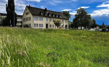 Noch ist nur eine grüne Wiese zu sehen: Direkt an der Schorndorfer Straße in Weiler liegt dieses Grundstück, auf dem Palm Immobi