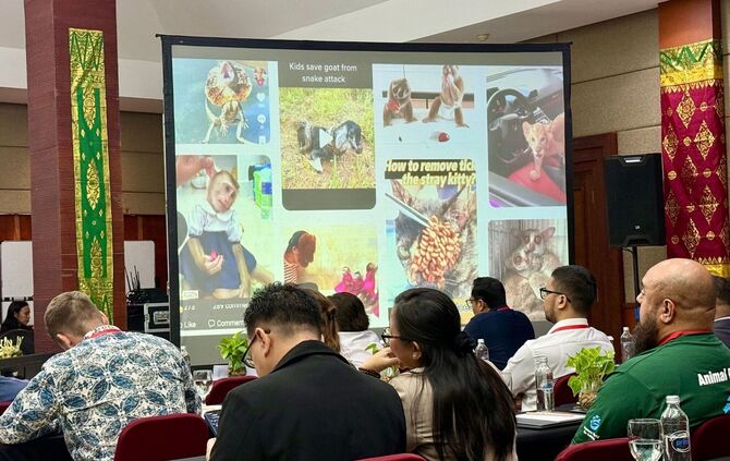 Fachkonferenz auf Bali zum Thema Tierleid in sozialen Medien
