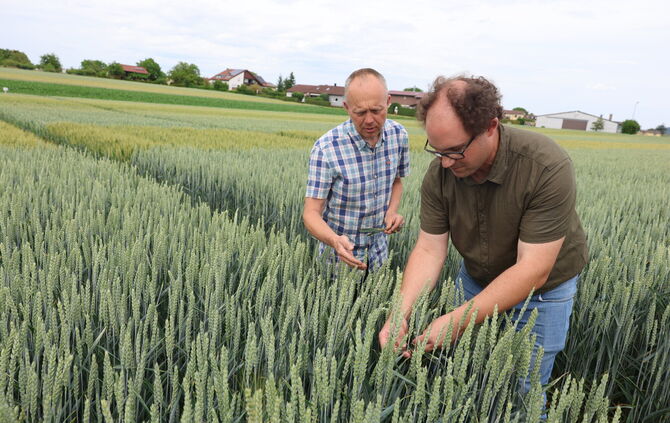 Landwirt Volker Escher (links) mit Julian Zachman vom Landwirtschaftlichen Technologiezentrum: Gemeinsam wollen sie erreichen, d