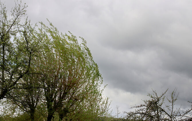 Der Deutsche Wetterdienst warnt vor Windböen.