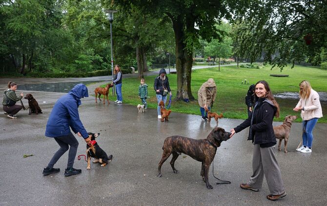 Michelle Götze (vorne rechts) mit ihrem Mogli: Sie hat sich als Hundetrainerin mit ihrer mobilen Hundeschule selbstständig gemac