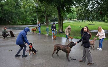 Michelle Götze (vorne rechts) mit ihrem Mogli: Sie hat sich als Hundetrainerin mit ihrer mobilen Hundeschule selbstständig gemac