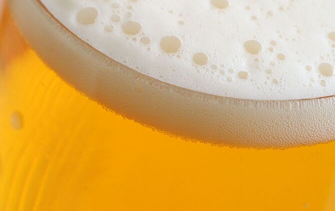 Bier