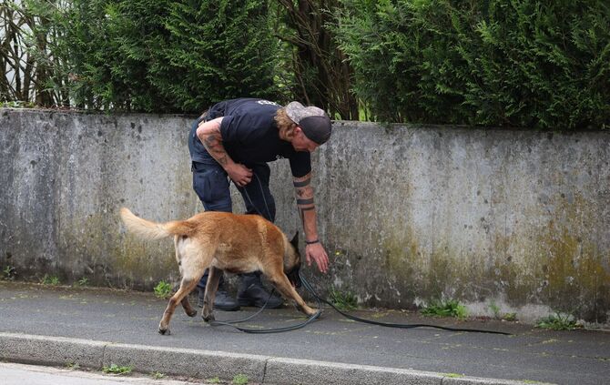 Ein Polizist sucht mit einem Spürhund nach Hinweisen.