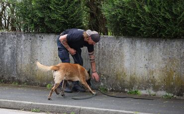 Ein Polizist sucht mit einem Spürhund nach Hinweisen.