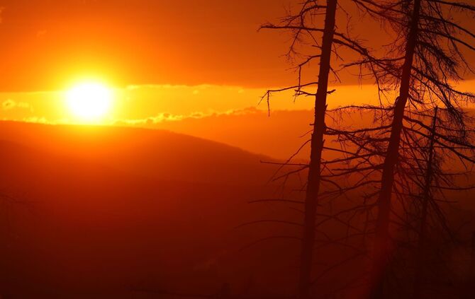 Sonnenuntergang im Harz