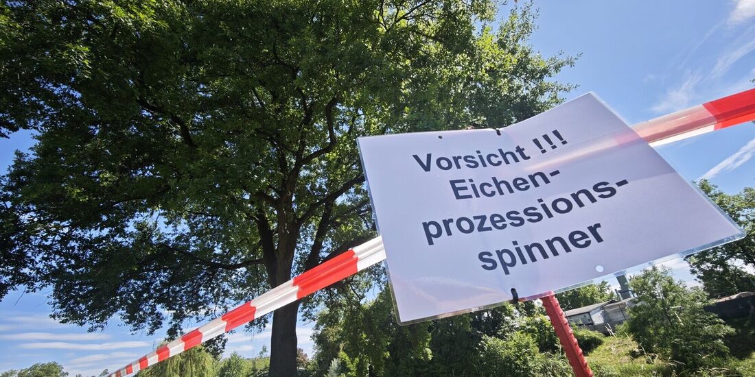 Vorsorglich gesperrt: Der Eichenprozessionsspinner ist auch in Weinstadt ein Problem.