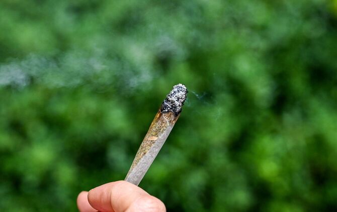 Cannabis-Messe "Mary Jane Berlin"
